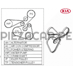 Faja múltiple para Kia Sportage