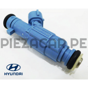 Inyector para Hyundai Santa Fe